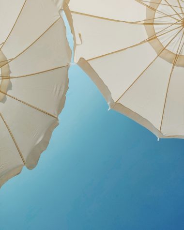 biens à vendre en terre de provence